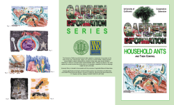 Household Ants and Their Control