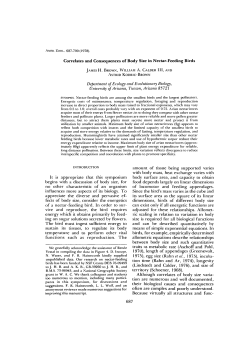 Correlates and Consequences of Body Size in