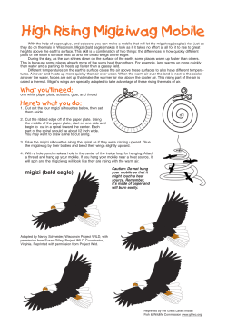 High Rising Migiziwag Mobile