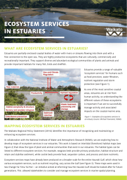 ecosystem services in estuaries