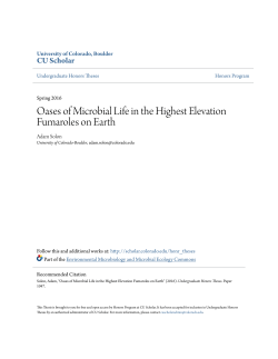 Oases of Microbial Life in the Highest Elevation