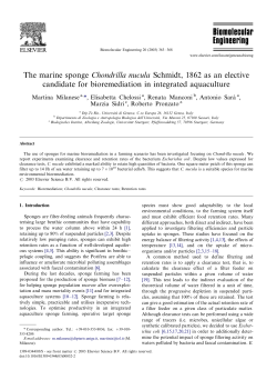 The marine sponge Chondrilla nucula Schmidt, 1862 as an elective