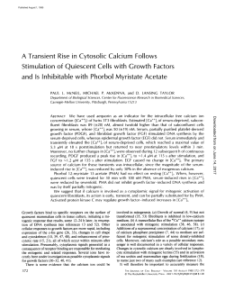 Tt Stimulation of Quiescent Cells with Growth Factors and Is