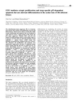 E2F1 mediates ectopic proliferation and stage-specific p53