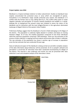 Project Update: June 2016 Blackbuck is a tropical antelope endemic