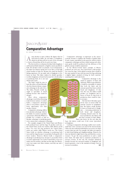 Comparative Advantage