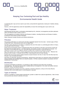 Keeping Your Swimming Pool and Spa Healthy