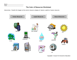 The Color of Resources Worksheet