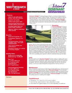 Dominant Extreme 7 - Graham Turf Seeds