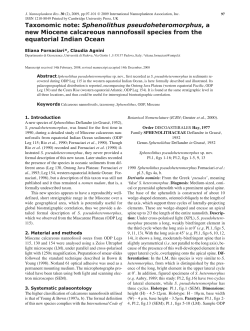 Sphenolithus pseudoheteromorphus, a new Miocene calcareous