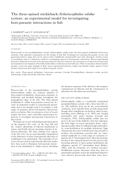 The three-spined stickleback- Schistocephalus solidus system: an