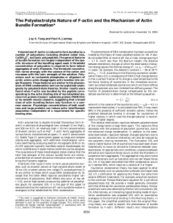 as a PDF