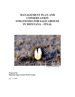 management plan and conservation strategies for