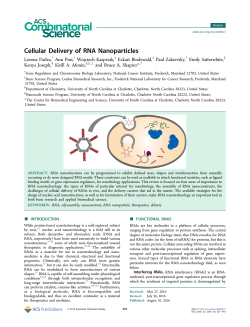 Cellular Delivery of RNA Nanoparticles