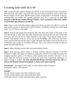 Creating Sole with SEA-90