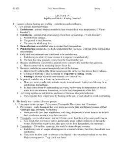 LECTURE 19 Reptiles and Birds &ndash; Kissing Cousins? I. Careers in