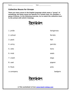 Collective Nouns for Groups - Teach