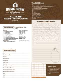 Peanut Butter Cup Stout