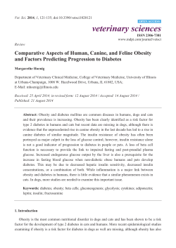 Comparative Aspects of Human, Canine, and Feline Obesity