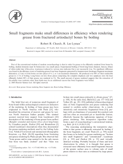 Small fragments make small differences in efficiency when