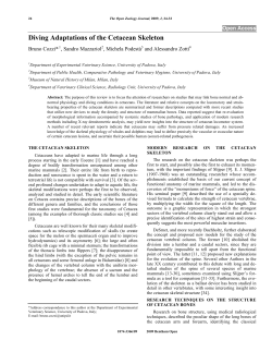 Diving Adaptations of the Cetacean Skeleton