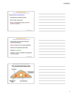 acoelomate and pseudocoeolmate taxa