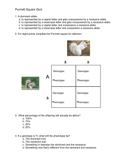 Punnett Square Quiz from PLC