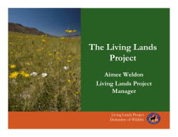 Biodiversity for Dummies Workshop