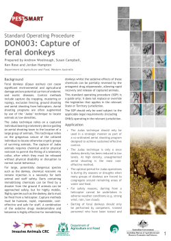 DON003: Capture of feral donkeys