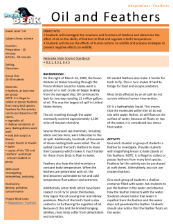 Lesson: Oil and Feathers