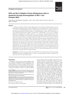 PI3K and Bcl-2 Inhibition Primes Glioblastoma Cells to Apoptosis