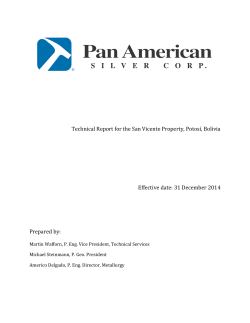 San Vicente Technical Report