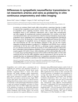 Differences in sympathetic neuroeffector transmission to rat