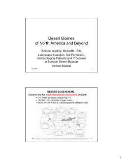Desert Biomes of North America and Beyond