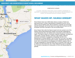 Mount Namuli rises over 2,000 meters above a mosaic of forest and