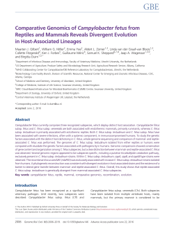 Comparative Genomics of Campylobacter fetus from Reptiles and