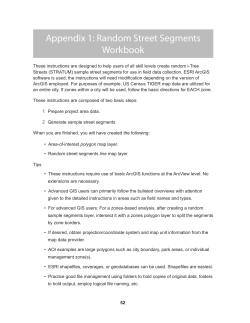 Appendix 1: Random Street Segments Workbook - i-Tree
