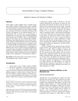 Feline Models of Type 2 Diabetes Mellitus