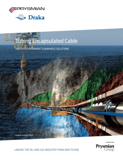 tubing encapsulated Cable