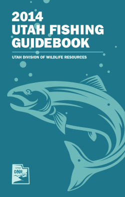 2014 Utah Fishing Guidebook