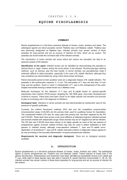 equine piroplasmosis