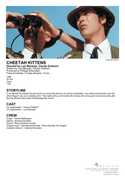 CHEETAH KITTENS - Les films d`Avalon