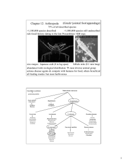 Chapter 12: Arthropoda (Greek=jointed foot/appendage)