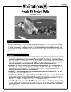 Noodle Pit Product Guide