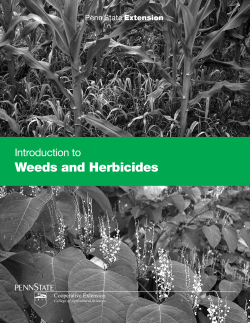 Weeds and Herbicides - Penn State Extension