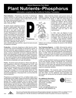 Plant Nutrients&ndash;Phosphorus