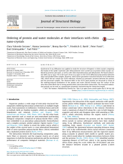 Ordering of protein and water molecules at their interfaces with chitin