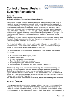 Control of Insect Pests in Eucalypt Plantations