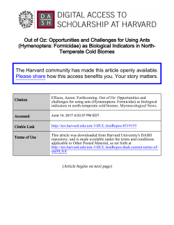 Ellison 2012 - Digital Access to Scholarship at Harvard