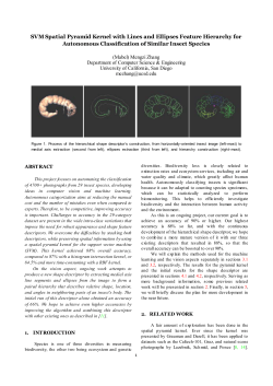 SVM Spatial Pyramid Kernel with Lines and Ellipses Feature